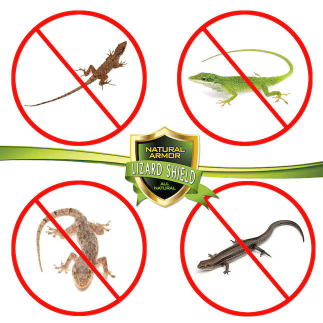 Natural Lizard Repellent Spray for Home – 250ML (Pack of 2) | Safe & Effective Pest Control