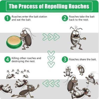 Cockroach Killer Gel – Pack of 24| No Spray | Kills in 3 Days