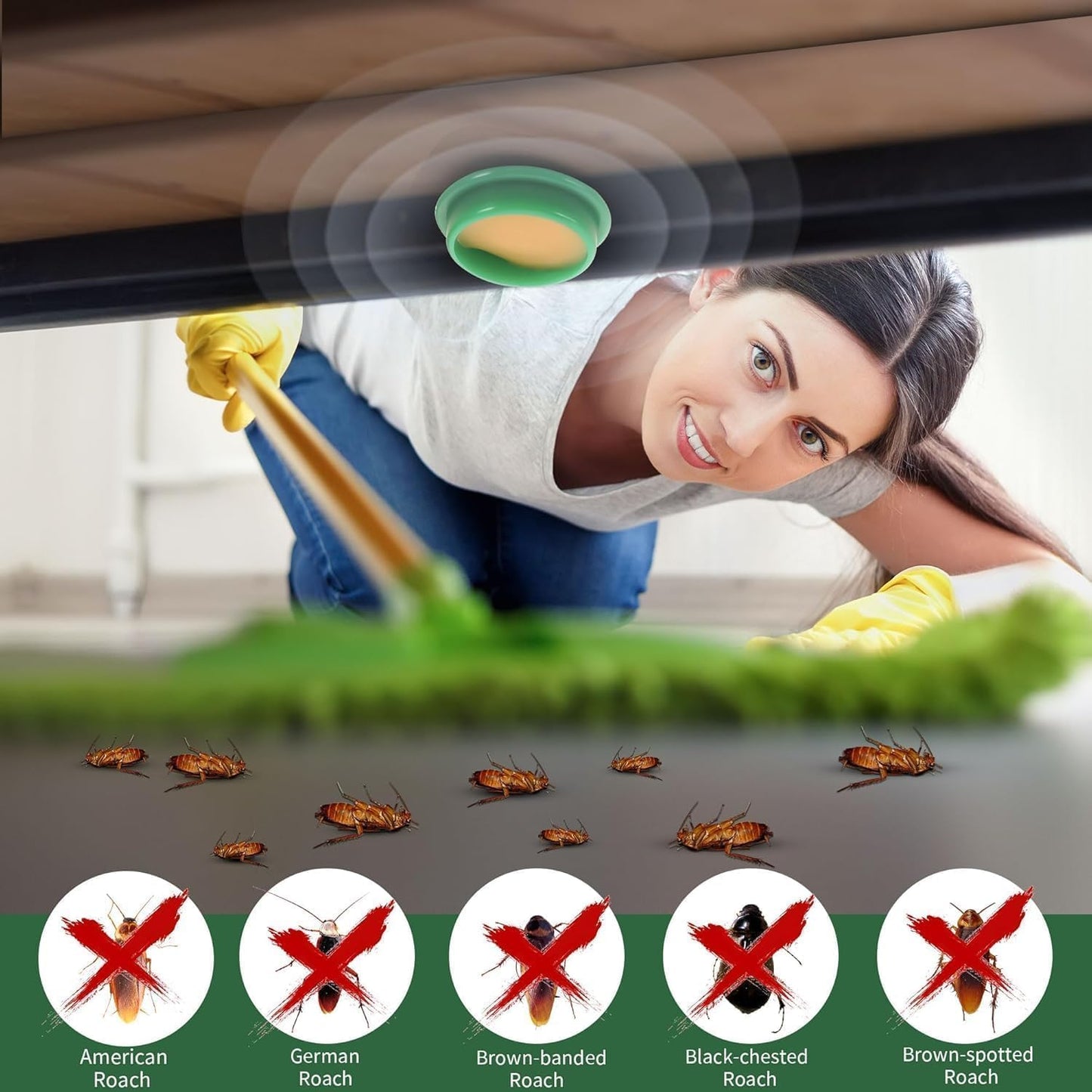 Cockroach Killer Gel – Pack of 24| No Spray | Kills in 3 Days